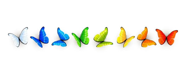 Conjunto de mariposas de colores — Vector de stock