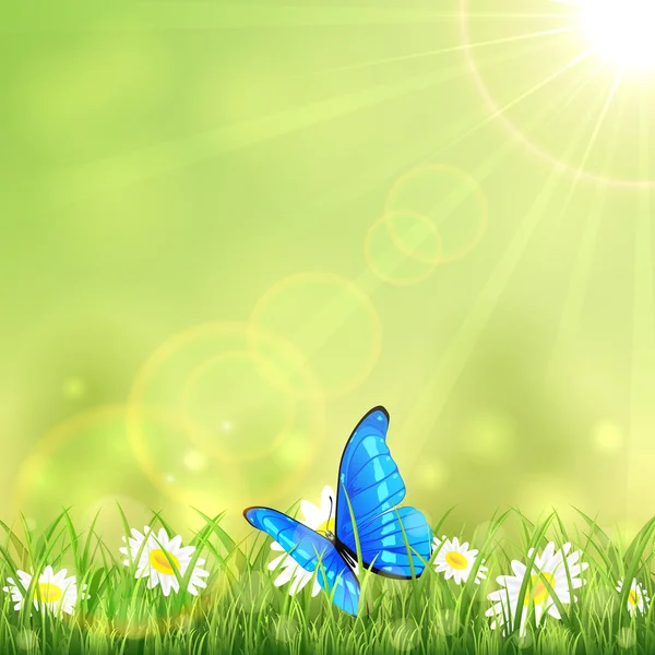 Modrý motýl a květina — Stockový vektor