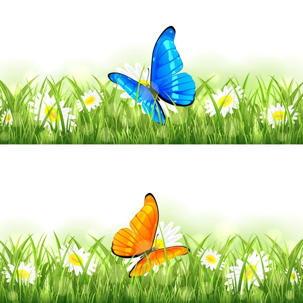 Orange and blue butterfly on the flower — Stock Vector