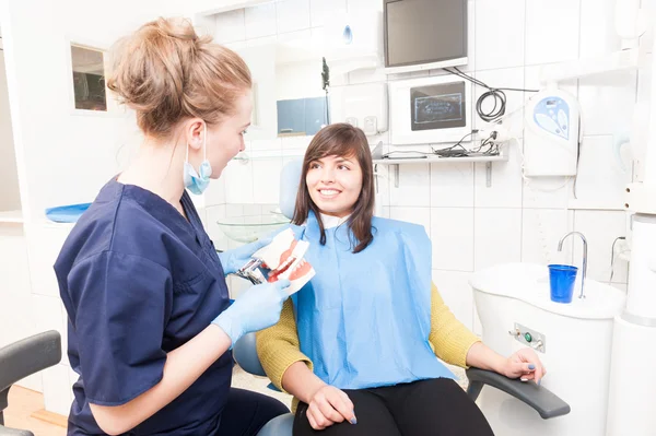 Woman dentist holding a jaw model and a toothbrush — 图库照片