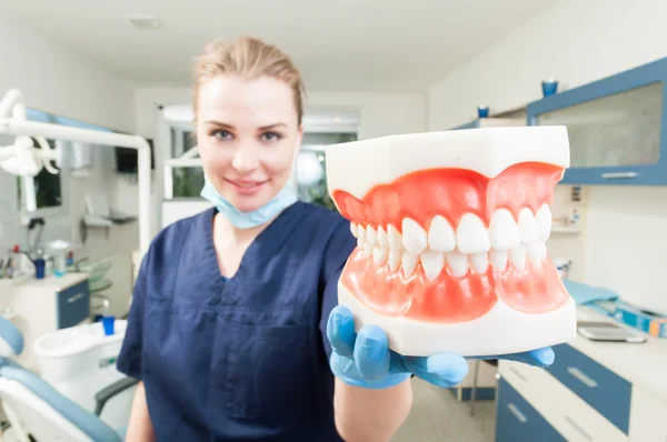 Woman dentist smiling and holding a jaw teeth model — Stok fotoğraf