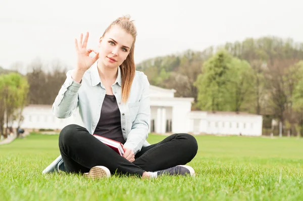 Mulher atraente fazendo ok gesto enquanto sentado fora — Fotografia de Stock