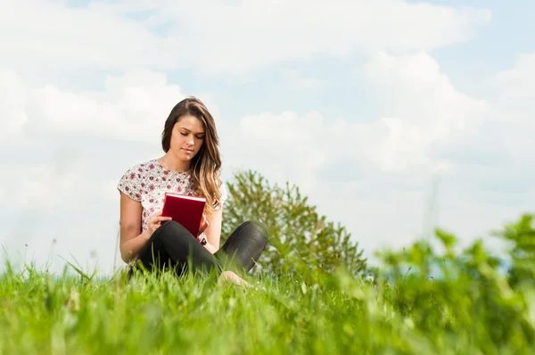 Giovane bella hipster seduto sul prato e la lettura — Foto Stock