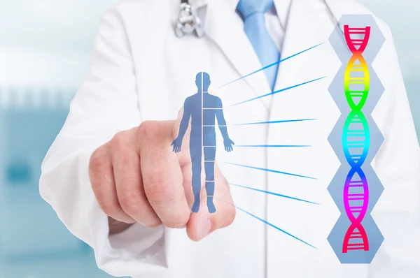 Young doctor working with drawing body and DNA icon — Stock Photo, Image