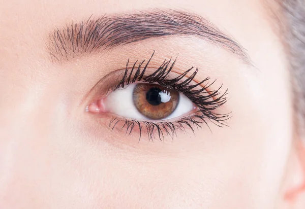 Beauty close-up eye with mascara and natural skin look — Stock Photo, Image