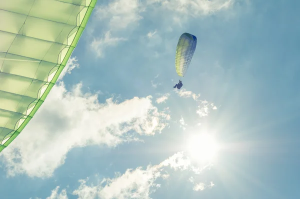 Low angle in sun light of paragliders