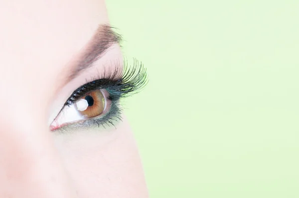 Macro inyección de ojo de mujer con extensión de pestaña —  Fotos de Stock