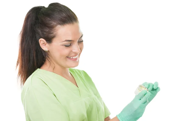 Mujer dentista mirando dientes artificiales — Foto de Stock