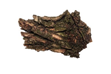 Eski kabuğu veya kabuklu adet