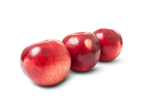 Manzanas de otoño rojo brillante —  Fotos de Stock