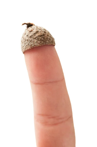 Acorn hat on finger — Stock Photo, Image