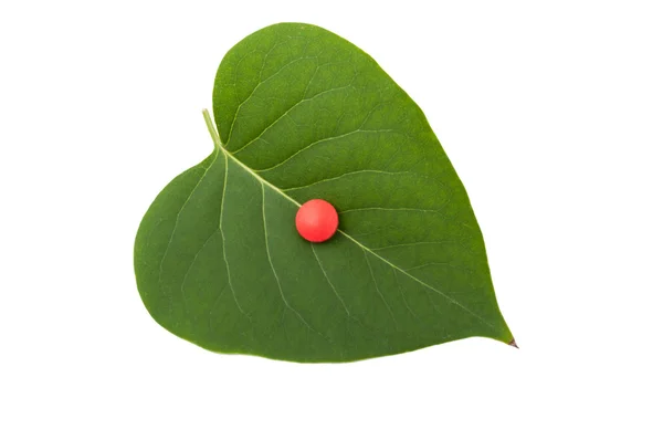 Rode pil op groen blad — Stockfoto