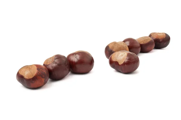Lined up chestnuts with one off the crowd — Stock Photo, Image