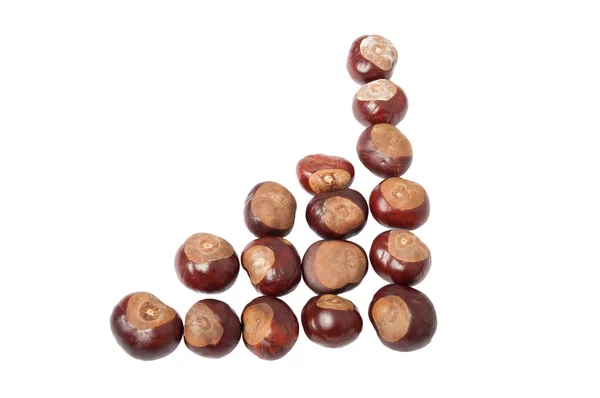 Chestnuts making a chart — Stock Photo, Image