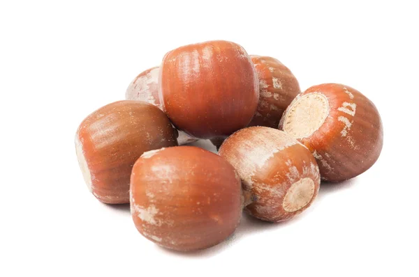 Group of acorns — Stock Photo, Image