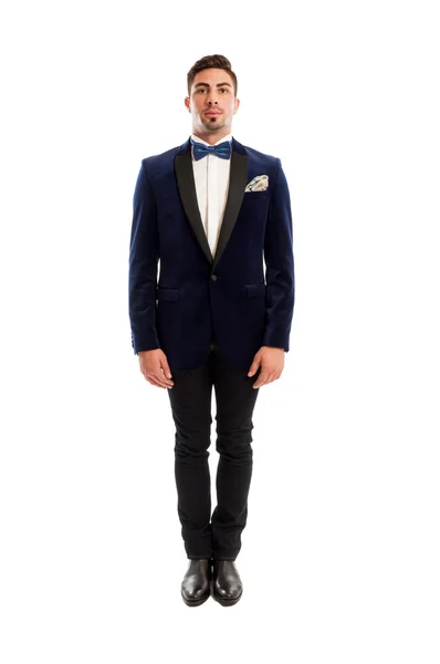 One male model wearing elegant suit and bow tie — Stock Photo, Image