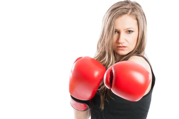 Serious boxer lady — Stock Photo, Image