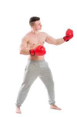 Boksör taahhüdü ve rakip