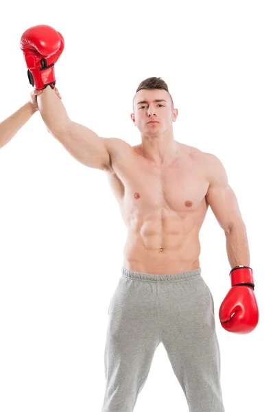 Mistrz bokser — Zdjęcie stockowe