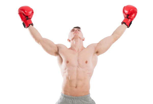 Boxer masculino orando ou procurando inspiração — Fotografia de Stock
