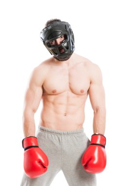 Boksör duygu dissaponted