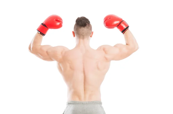 Boxer forte e muscular por trás — Fotografia de Stock