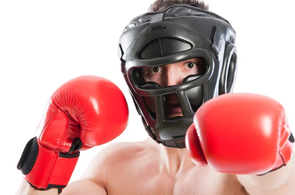 Scared boxer wearing helmet — Stock Photo, Image