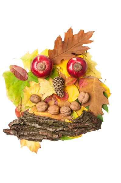 Man ansikte gjorde hösten faller löv och hösten dekorationer — Stockfoto