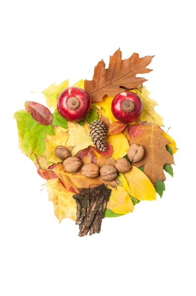 Cara masculina hecha de hojas de otoño y decoraciones de otoño —  Fotos de Stock