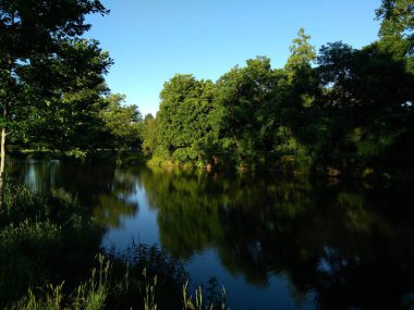 Bereketli yeşil ağaçları yansıtan sakin sular ve güneşli bir günde canlı mavi bir gökyüzü..