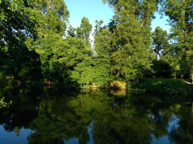 Canlı yeşil ağaçların bulunduğu sakin doğal manzara sakin bir su kütlesini kaplıyor, güzel bir günde yeşilliği ve açık mavi gökyüzünü mükemmel bir şekilde yansıtıyor..