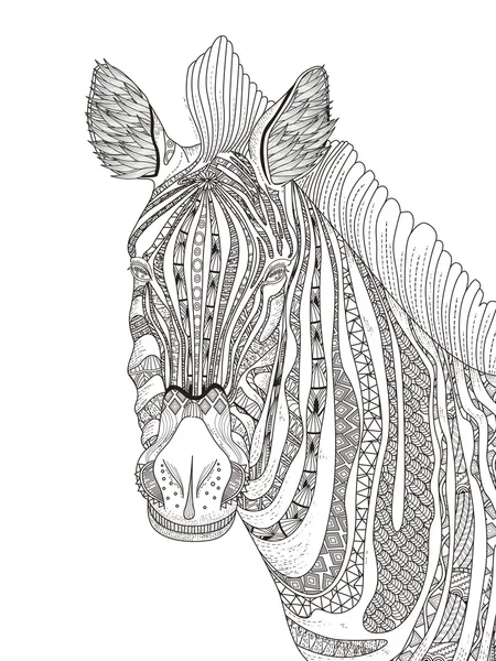 Zebra adult coloring page — Stock Vector