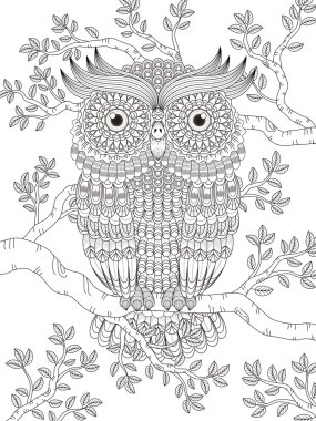 muhteşem baykuş ile yetişkin renklendirme sayfa