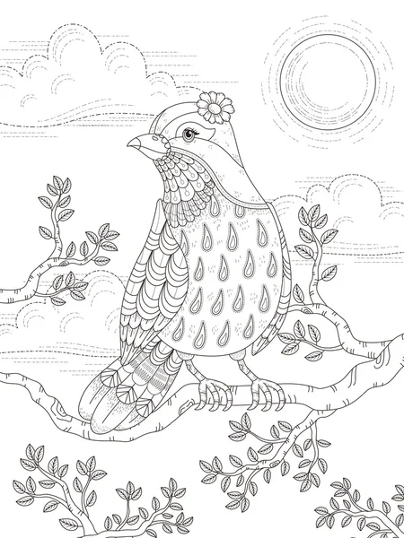 Página para colorear para adultos con hermosa dama pájaro — Vector de stock