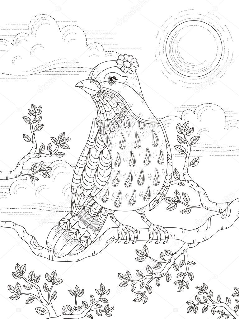 adult coloring page with lovely lady bird