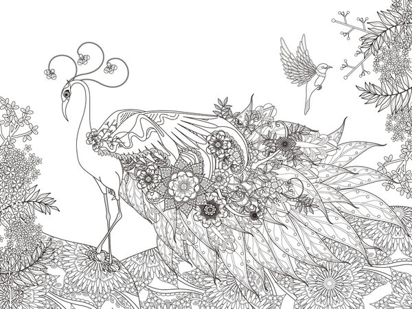 floral feather peacock coloring page