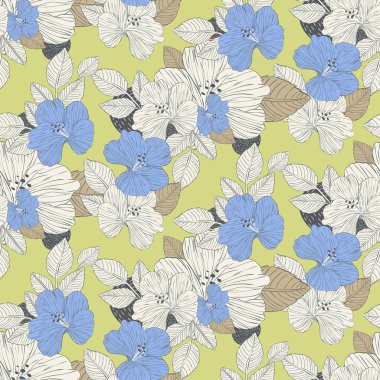 Güzel hibiscus çiçek