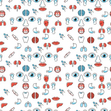 İnsan organlarını seamless modeli