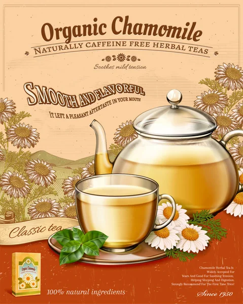 Ilustracja Organiczne Rumianek Herbata Reklamy Retro Grawerowane Styl Ogród Tło — Wektor stockowy