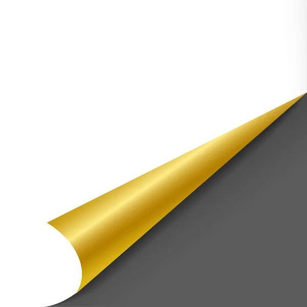 Feuille de papier vierge avec page curl — Image vectorielle