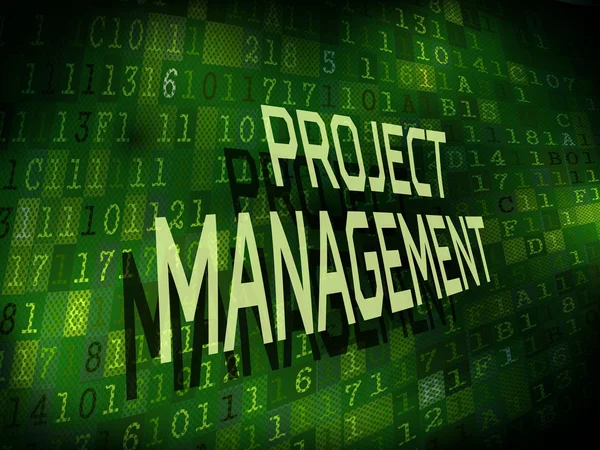 Project management ord isolerat på digital bakgrund — Stock vektor