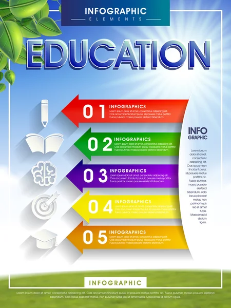 Educație infografică cu elemente săgeată colorate — Vector de stoc