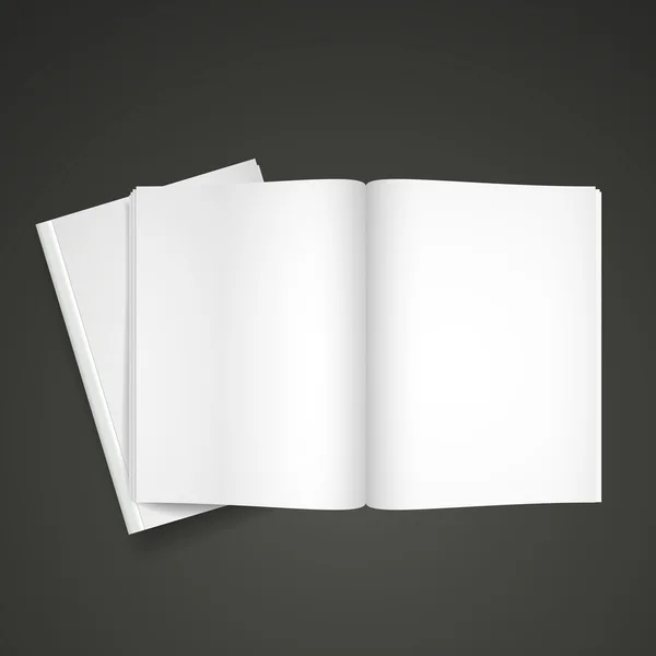 Libro abierto en blanco — Vector de stock