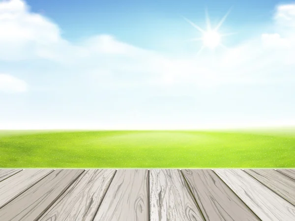 Cielo blu e campo di erba verde — Vettoriale Stock