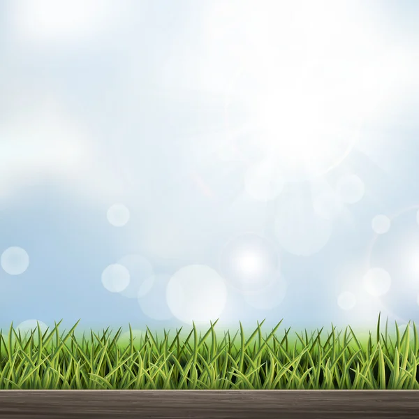 Primo piano guardare sfondo erba naturale — Vettoriale Stock