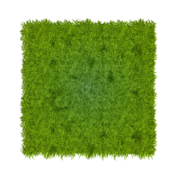 Close-up kijken fris groen gras — Stockvector