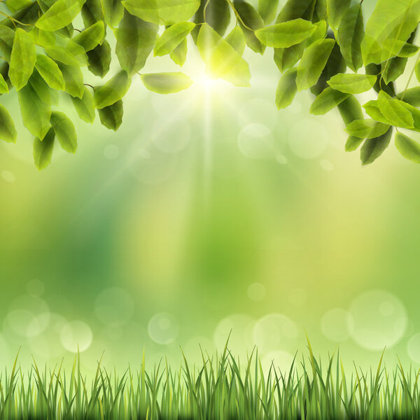close-up look at natural grass background 