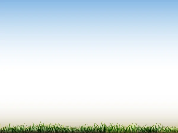 蓝蓝的天空和场的绿草 — 图库矢量图片
