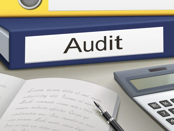 Cartella con documenti di audit — Vettoriale Stock