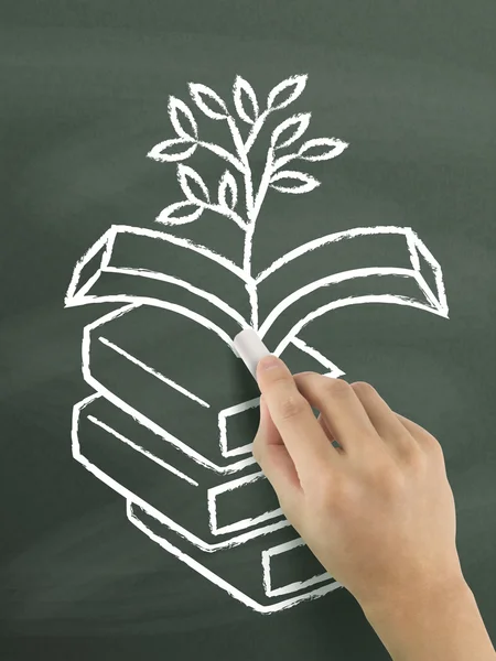 Plant grows from books drawn by hand — Stock Photo, Image